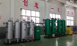 PSA nitrogen making machine + carbon deoxidization nitrogen purification device